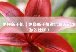 更换新手机（更换新手机微信聊天记录怎么迁移）