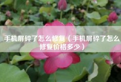 手机屏碎了怎么修复（手机屏碎了怎么修复价格多少）