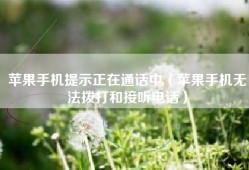 苹果手机提示正在通话中（苹果手机无法拨打和接听电话）