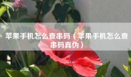 苹果手机怎么查串码（苹果手机怎么查串码真伪）