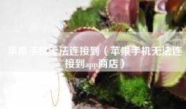 苹果手机无法连接到（苹果手机无法连接到app商店）