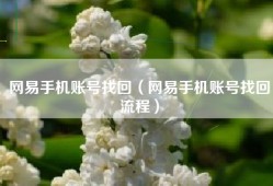 网易手机账号找回（网易手机账号找回流程）