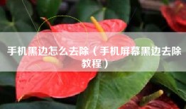 手机黑边怎么去除（手机屏幕黑边去除教程）