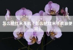 怎么抢红米手机（怎么抢红米手机最便宜）