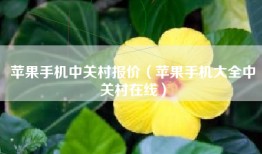 苹果手机中关村报价（苹果手机大全中关村在线）