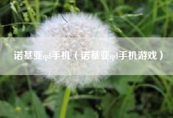 诺基亚qd手机（诺基亚qd手机游戏）