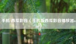 手机 西瓜影音（手机版西瓜影音播放器app）