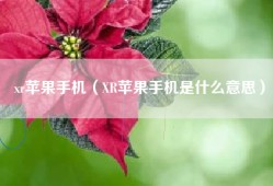 xr苹果手机（XR苹果手机是什么意思）