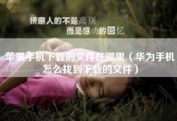 苹果手机下载的文件在哪里（华为手机怎么找到下载的文件）