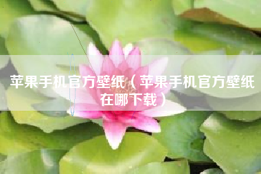 苹果手机官方壁纸（苹果手机官方壁纸在哪下载）