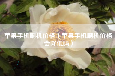 苹果手机刷机价格（苹果手机刷机价格会降低吗）