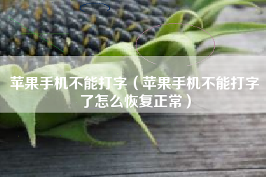 苹果手机不能打字（苹果手机不能打字了怎么恢复正常）