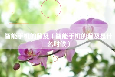 智能手机的普及（智能手机的普及是什么时候）