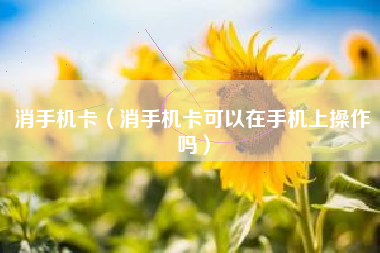 消手机卡（消手机卡可以在手机上操作吗）